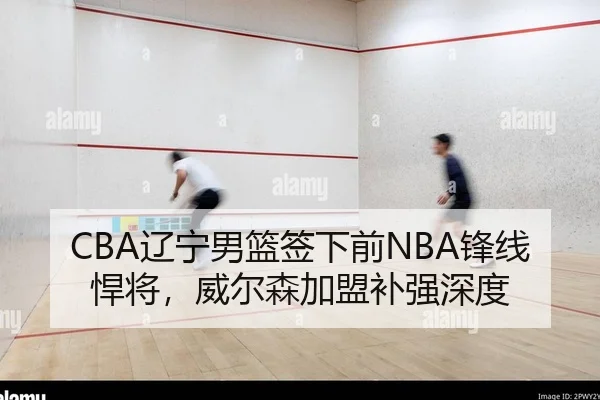 CBA辽宁男篮签下前NBA锋线悍将，威尔森加盟补强深度